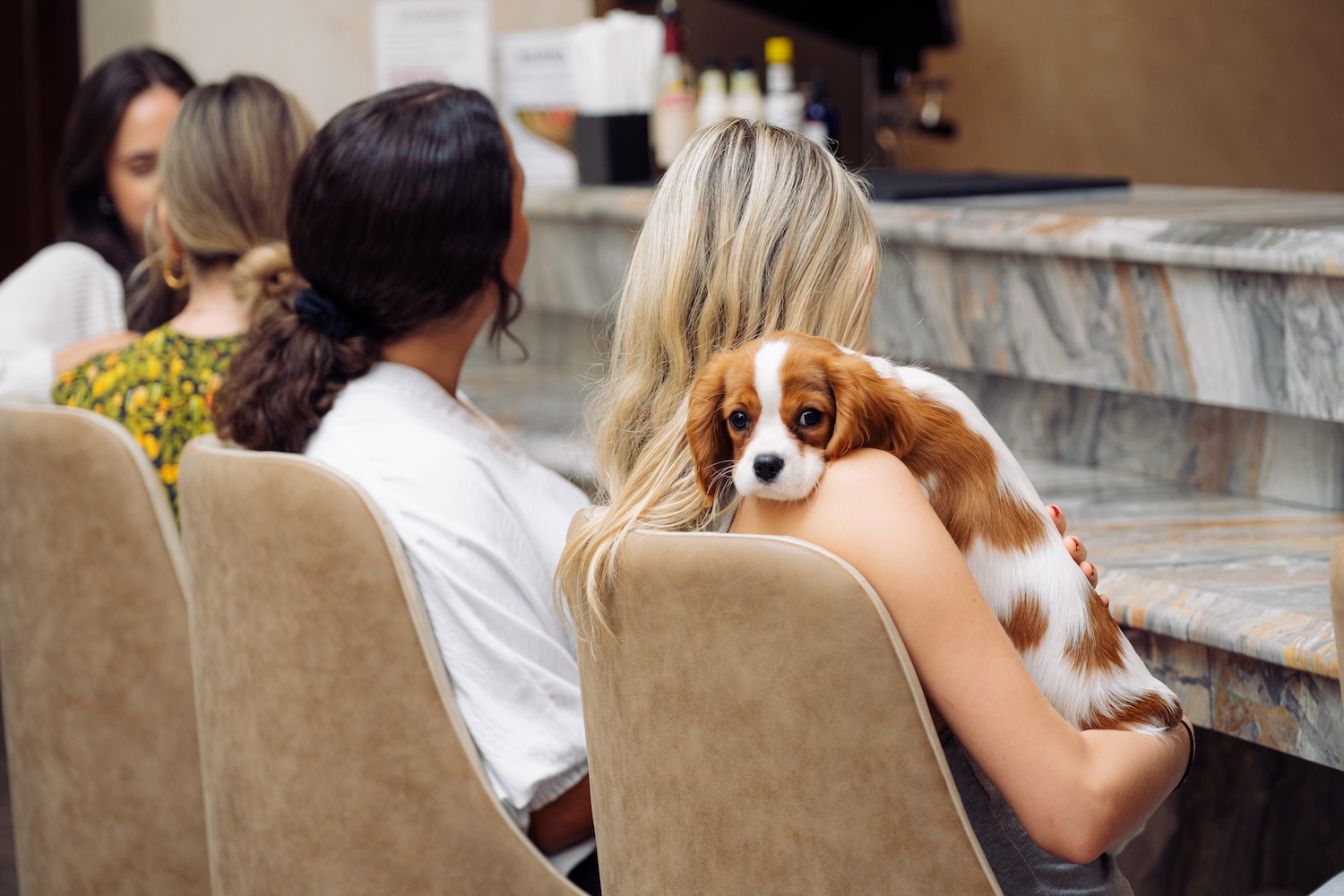 blonde woman sitting holding her cocker spaniel