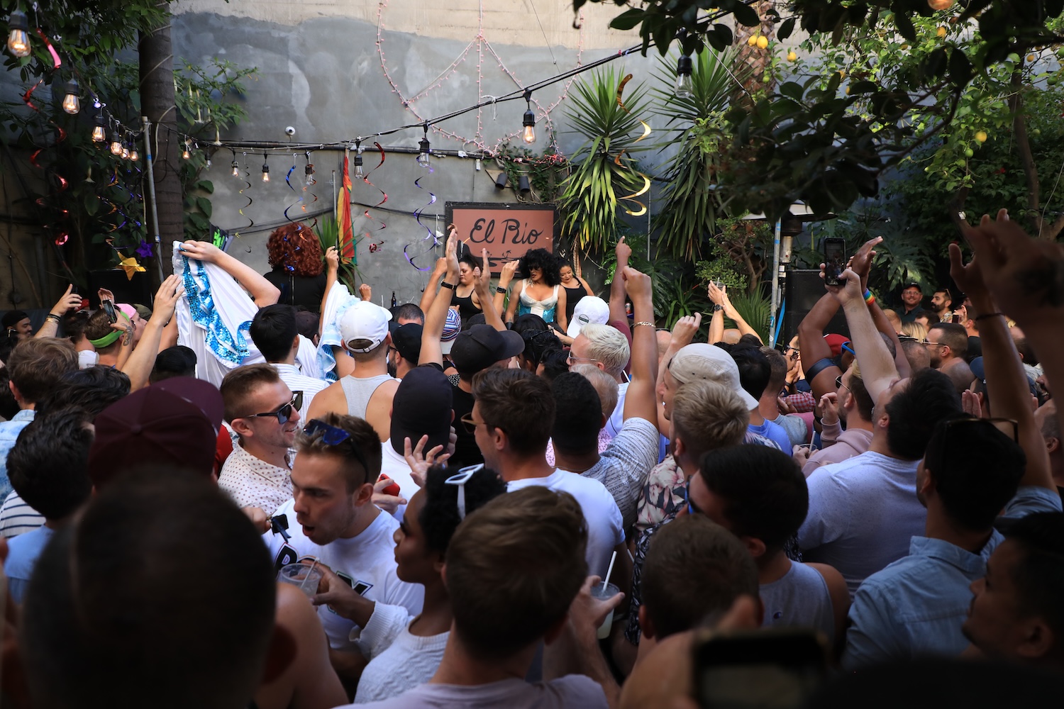 people dancing, strong lights, plants, DJ