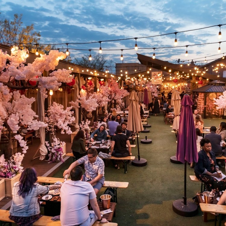 cherry blossoms and fairy lights, people sitting on bench, umbrellas