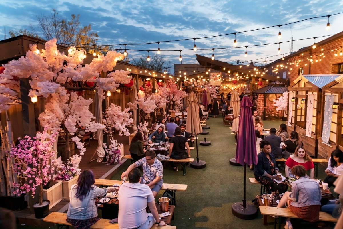 cherry blossoms and fairy lights, people sitting on bench, umbrellas