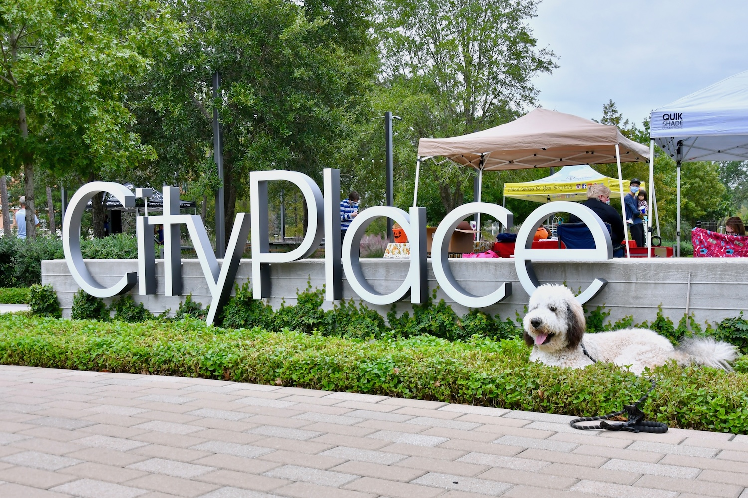 big sign outdoors with grass, white large dog laying down in grass in front of sign